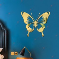 Butterfly Butterfly