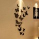 Butterfly Moderate Decor