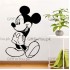 Disney Mickey