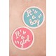 Baby Gender Announcement Sign – It’s a Boy/It’s a Girl