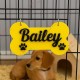 Personalized Dog Bone Name Sign – Acrylic Kennel Decor Personalized Dog Bone Name Sign – Acrylic Kennel Decor