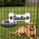 Personalized Dog Bone Name Sign – Acrylic Kennel Decor Personalized Dog Bone Name Sign – Acrylic Kennel Decor