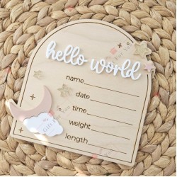 Hello World Baby Birth Announcement Wooden Plaque
