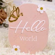 Hello World Acrylic Baby Name Sign