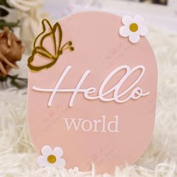 Hello World Acrylic Baby Name Sign Hello World Acrylic Baby Name Sign