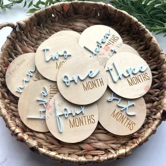 CharmNest Baby Months Milestone Disc Plaques CharmNest Baby Months Milestone Disc Plaques
